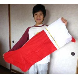 画像1: 【IN-42111】JUMBO FELT STOCKING