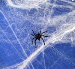 画像1: 【J-6208】SPIDER WEB-B