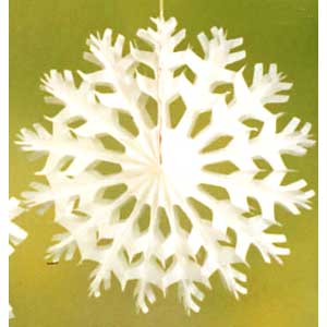 画像: 【J-1009】SNOWFLAKE