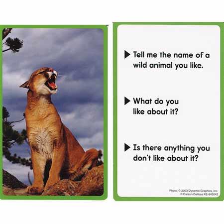 画像: 【KE-845042】CONVERSA-CARDS "WHAT DO YOU LIKE?"