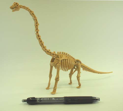 画像: 【CL1667KJ】恐竜発掘キット「ステゴサウルス」