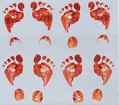 画像: 【IN657580】BLOODY FOOTPRINTS FLOOR CLING