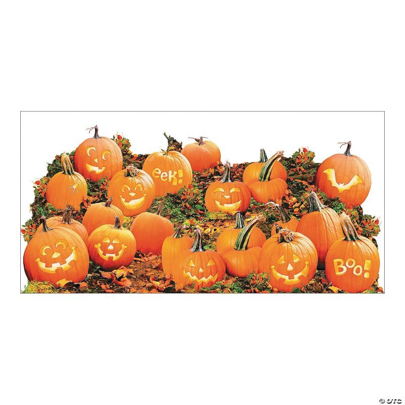 画像: 【IN-743375】PUMPKIN PATCH BACKDROP