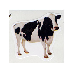 画像1: 【CD-168013】PHOTOGRAPHIC  SHAPE STICKER  "FARM ANIMALS"