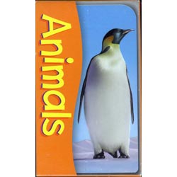 画像1: 【T-23017】POCKET FLASH CARDS "ANIMAL"